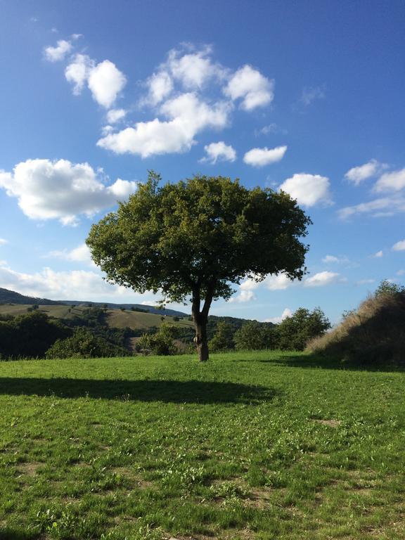 法布里亚诺Agriturismo La Vita E Bella别墅 外观 照片